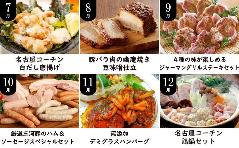 【全12回】厳選！お肉づくめの定期便　H028-081