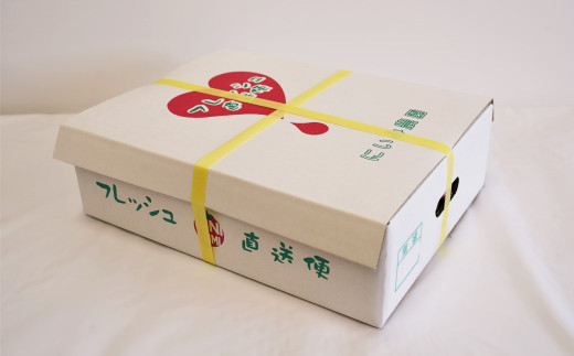 【内閣総理大臣賞受賞】毎日食べたくなるミニトマト３kg 農林水産大臣賞受賞 日本農業賞大賞受賞 H031-005