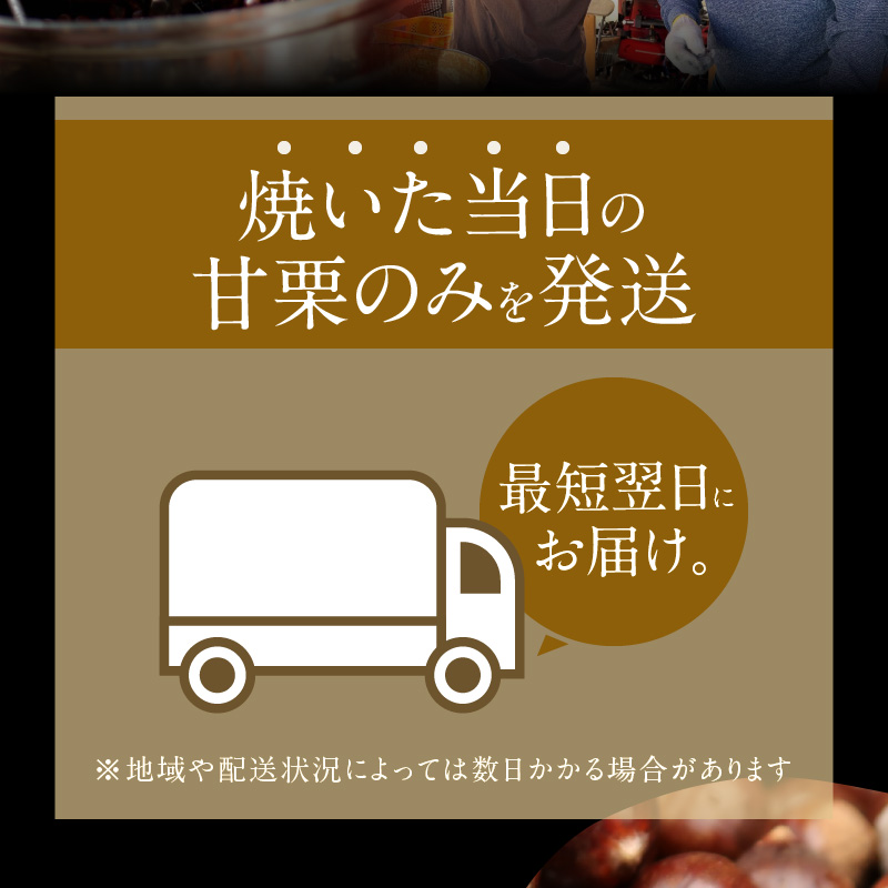 【福箱★2026】【くり返し福来る！】 年末年始限定発送 この道50年の職人が焼く､やさしい甘みたっぷり！｢天津甘栗｣800g H045-066