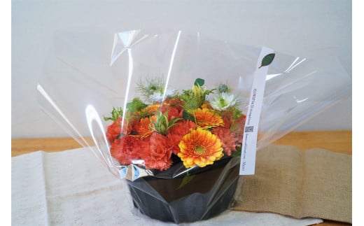 【花瓶いらず！】レッドカーネーションでふわもこケーキのようなフラワーアレンジ！ そのまま飾れる プレゼント 贈り物 還暦 記念日 お誕生日 お祝い 母の日 H174-004