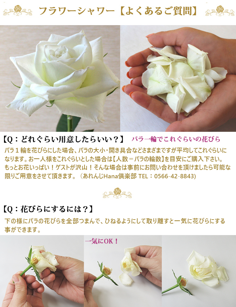 〈日付指定も可能〉 観賞はもちろん！バラ風呂やフラワーシャワーに！ ローズインにゅーよーくミックス３０輪 バラ３０輪詰め合わせ 風呂 薔薇 ローズ ギフト プレゼント ラッピング インテリア お花 フラワー H193-021