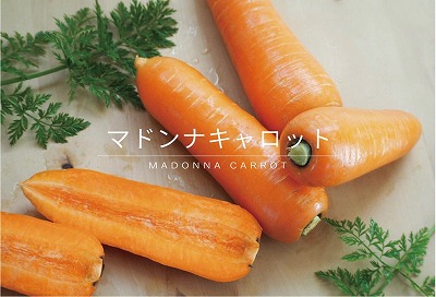（予約受付） ＜フジテレビ『どっちのふるさと？』で紹介されました！＞無添加　体に優しい極上フルーティーマドンナキャロットジュース　720ml×6本 野菜ジュース ストレート 冬人参 レモン果汁 100% 砂糖不使用 無塩 お見舞い にんじん ニンジンにんじん ニンジン 国産 碧南市 健康 甘い 特産 H105-156