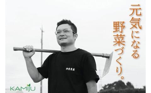 【2026年発送】事前予約 訳あり やみつき極うま “金の生落花生” 塩ゆで専用 2kg(500g×4袋）　H105-144