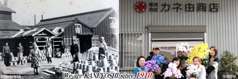 綺麗で丈夫な三河陶器で贈る 光触媒胡蝶蘭小輪３本立（白の陶器×白桃色の花）　H100-083