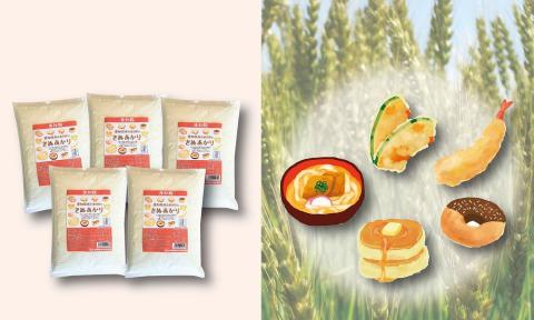 【小麦粉】愛知県産 きぬあかり 国産 薄力粉 1kg×5袋(計5kg) 定期便12回 H008-261
