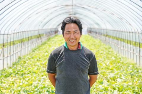 【2026年発送】夏の風物詩 中玉すいか「虎太郎西瓜」２玉 すいか 甘い すいか2玉 　H141-016