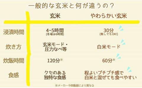 やわらかい玄米 900g　※6回定期便　安心安全なヤマトライス　H074-648