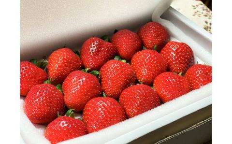 （予約受付中）【いちご定期便】（1月2月3月お届け）まるで赤いサファイア!!丹精込めた完熟いちご!! 約450g×3回　H130-013