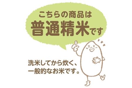 【すぐにお届け&日時指定可】愛知県産あいちのかおり 10kg　こめ コメ ごはん 安心安全なヤマトライス 米 白米 国産 精米 10キロ　H074-693