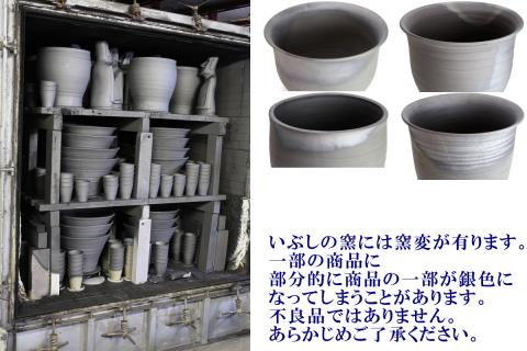 【バクテリアが多く住める多孔質ろ材】　銀玉土１リットル めだか鉢 金魚鉢 メダカ 鉢 陶器 睡蓮 多孔質土　H100-084