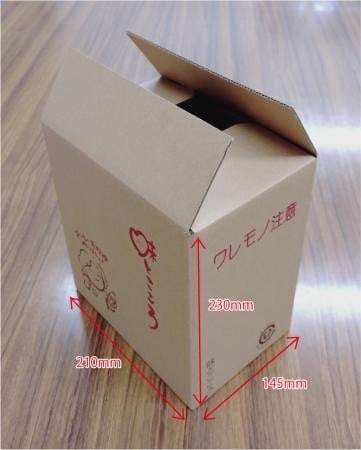 【12月24日受付分まで年内発送】おいしいそばつゆ大賞2023第1位 グランプリ獲得！七福醸造が本気で挑戦した辛口そばつゆ 日本のつゆ300ml 6本セット 大容量 つゆ ? そば 蕎麦 そうめん ざるそば かつお節 しょうゆ 出汁 だし 年越し たっぷり H001-098