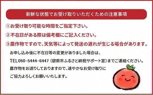 【2026年度予約分】増量約2kg！甘さ抜群!!トマト嫌いでも食べられるトマトベリー 4月～6月発送 野菜ソムリエサミット 金賞 受賞 長田農園 産地直送 トマト とまと 野菜 やさい フルーツ サラダ 濃厚 甘い ご褒美 プレゼント 美容 健康 リピート多数 人気 高評価 数量限定 碧南市 H004-147