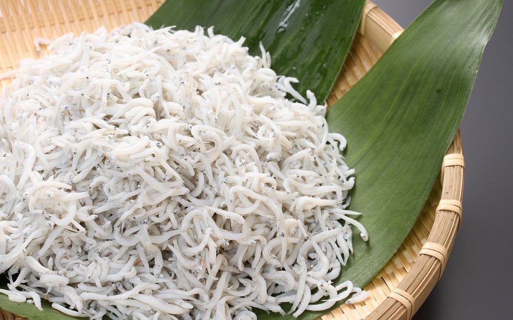 【お試し】お肉・海鮮　定期便（全6回お届け） H028-075