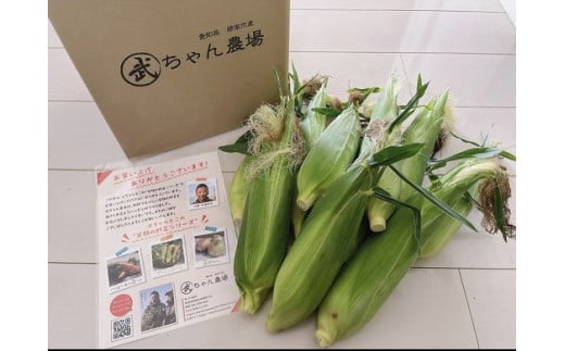 【2026年発送】朝採り直送 メロンより甘い 生とうもろこし“にっこりコーン” 7本 H095-027