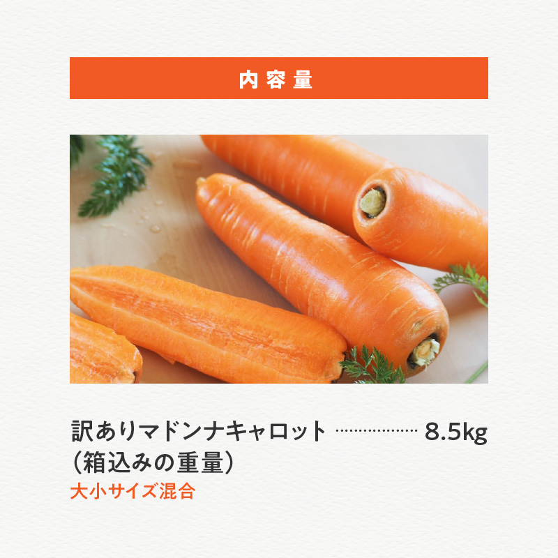 ＜フジテレビ『どっちのふるさと？』で紹介されました！＞ 福箱★2026 訳あり 野菜 にんじん マドンナキャロット 8.5kg 大小サイズ混合 国産 不揃い こどもも食べられる 甘み 料理 キャロット ジュース 野菜ジュース 福袋 愛知県 碧南市 お取り寄せ 送料無料 H105-168