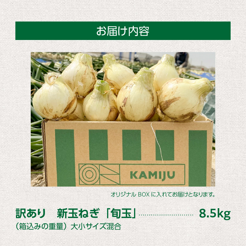 【福箱★2026】訳あり 新玉ねぎ 旬玉８.5kg 生がおいしい神重農産のブランド玉ねぎ H105-169