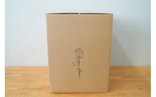 【花瓶いらず！】レッドカーネーションでふわもこケーキのようなフラワーアレンジ！ そのまま飾れる プレゼント 贈り物 還暦 記念日 お誕生日 お祝い 母の日 H174-004