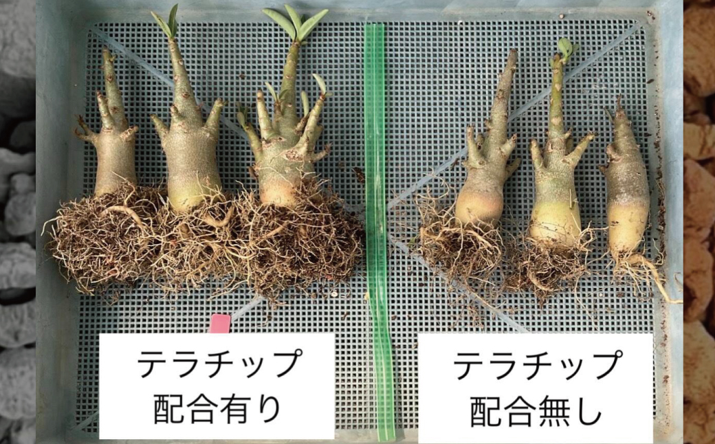 三河焼植木鉢ダークシルバー【テラチップ赤焼】プランター お手軽植物栽培セット 園芸 粘土 鉢 植物 土 シルバー 銀 赤 H188-002