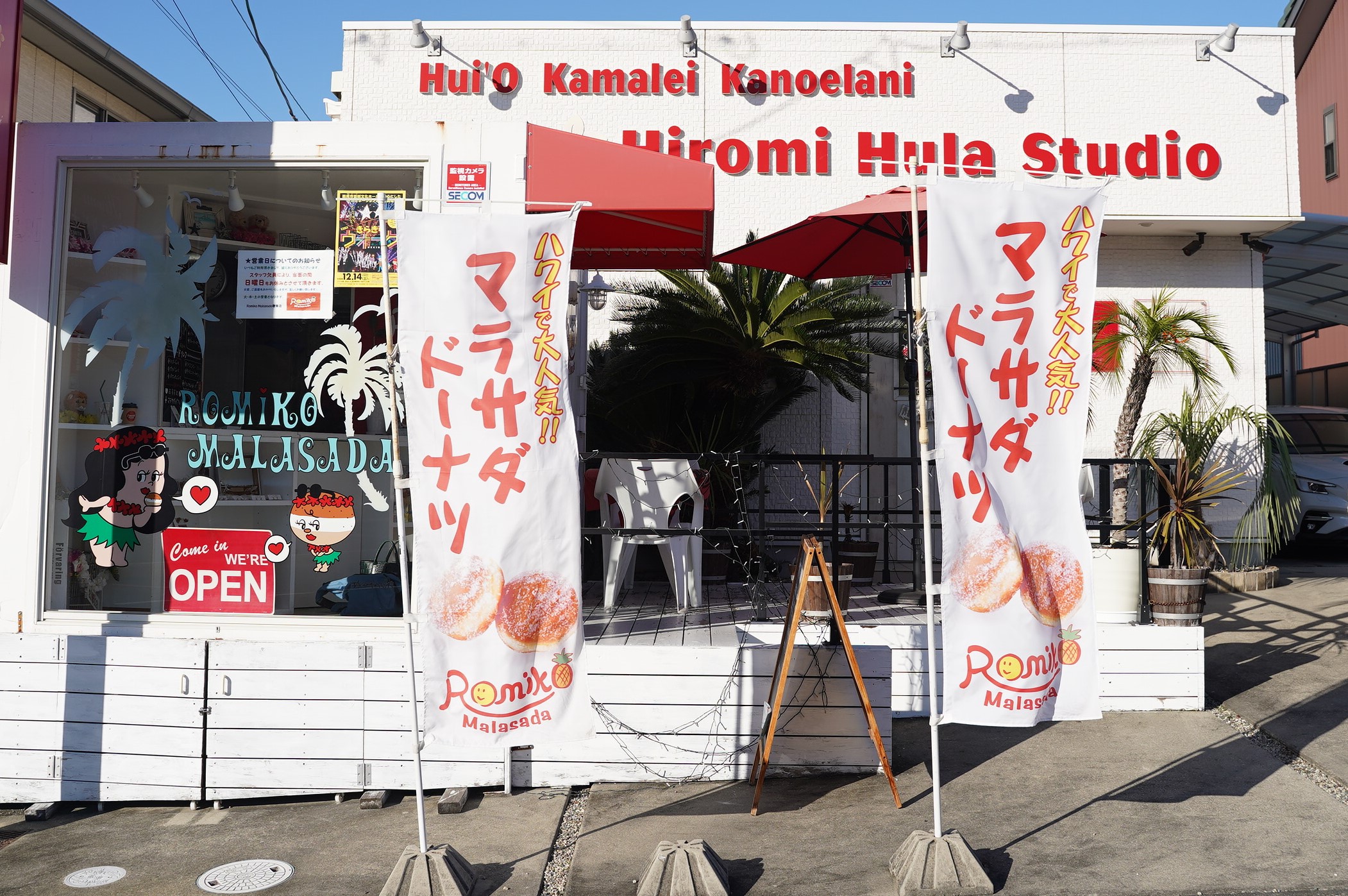 マラサダドーナツ 5個セット ふわふわ もちもち ドーナツ おやつ ヘルシー スイーツ ハワイグルメ 人気 揚げ菓子 碧南市 H197-002