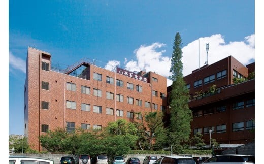 小林記念病院子宮ドック 利用券 1名様分 子宮 卵巣 MRI 子宮頸部細胞診 HPV ヒトパピローマウイルス 子宮内膜症 女性 券 チケット ギフト 贈り物 愛知県 碧南市 H203-003