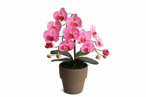 綺麗で丈夫な三河陶器で贈る光触媒胡蝶蘭小輪１本立（モカの陶器×ピンクの花）H100-082