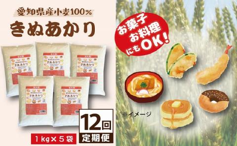 【小麦粉】愛知県産 きぬあかり 国産 薄力粉 1kg×5袋(計5kg) 定期便12回 H008-261