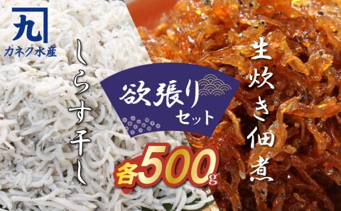 【150セット限定】しらす屋のしらす干しと佃煮の欲張りセット　H006-080