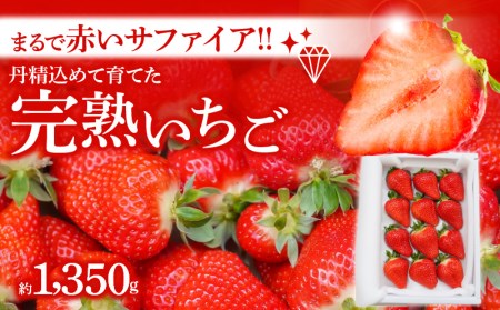 （予約受付中）【12月以降順次発送】まるで赤いサファイア!!丹精込めた完熟いちご!! 約1350g　H130-011