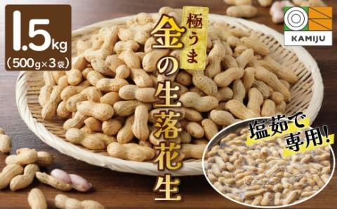 【2026年発送】事前予約 やみつき極うま “金の生落花生” 1.5kg(500g×3袋) 生ピーナッツ 塩ゆで専用　H105-142