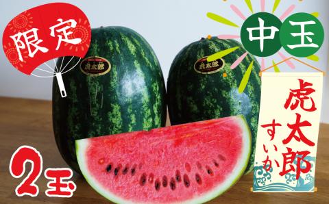 【2026年発送】夏の風物詩 中玉すいか「虎太郎西瓜」２玉 すいか 甘い すいか2玉 　H141-016