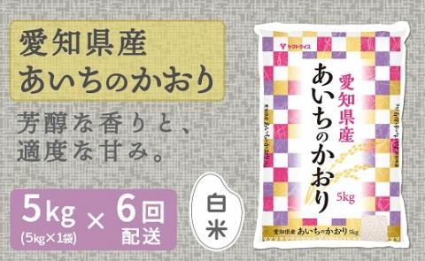 愛知県産あいちのかおり 5kg ※6回定期便　米 こめ コメ 白米 ごはん 国産 精米 5キロ 安心安全なヤマトライス　H074-692