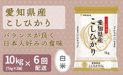 愛知県産コシヒカリ 10kg(5kg×2袋) ※定期便6回　こめ コメ ごはん 安心安全なヤマトライス 米 白米 国産 精米 10キロ H074-698