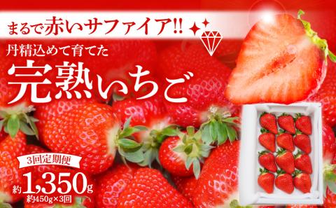 （予約受付中）【いちご定期便】（1月2月3月お届け）まるで赤いサファイア!!丹精込めた完熟いちご!! 約450g×3回　H130-013