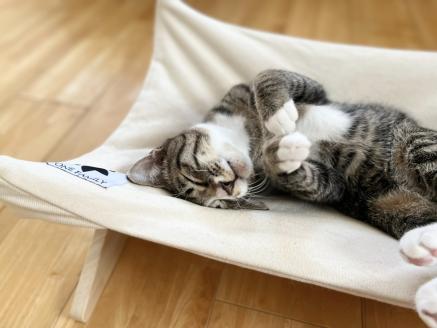 【リアルダウン使用】 ハンモックタイプの 羽毛ペットベッド クッション 犬や猫が喜ぶ！ H162-042