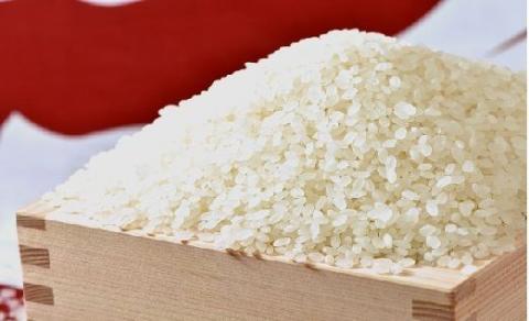 愛知県産　あいちのかおり10kg　H017-099