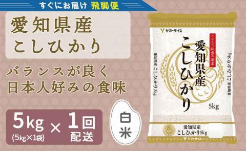 【12月18日受付分まで年内発送】（数量限定）【すぐにお届け&日時指定可】 愛知県産コシヒカリ 5kg　こめ コメ ごはん 安心安全なヤマトライス 米 白米 国産 精米 5キロ 新米 令和7年 H074-687