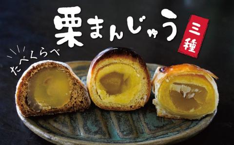 栗ざんまい！栗まんじゅう３種類食べ比べセット　H149-012