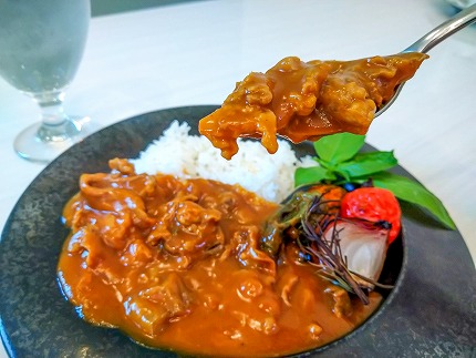 碧南DELIシリーズ お肉惣菜 無添加 とろける牛すじカレー 約800g(200g×4食) 洋食 カレー 国産 和牛 牛肉 中辛 野菜 煮込み　H080-037