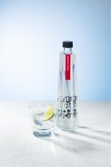 【12月21日受付分まで年内発送】国産ウォッカ『碧の海』500ml瓶×２本 純国産 アルコール 酒 蒸留酒 スピリッツ ウォッカ ストレート ショット カクテル 沖縄 サトウキビ 白樺炭 H044-023