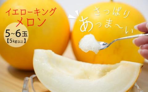 【2026年発送】完熟！イエローキングメロン 5kg以上(5玉～6玉)　H141-017