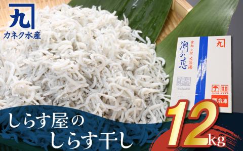 【12月18日受付分まで年内発送】しらす屋のしらす干し　1ｋｇ×12個　12ｋｇ　H006-071