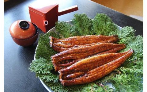 【12月24日受付分まで年内発送】三河一色産 鰻の蒲焼き 3尾 計540g以上 うなぎ処はちすか 国産 日本料理 うなぎ 蒲焼 白焼 真空 冷蔵 大きい 白だし かつおぶし 出汁 うな丼 うな重 ひつまぶし　H026-031