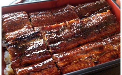 【12月24日受付分まで年内発送】三河一色産 鰻の蒲焼き 1尾 180g以上 うなぎ処はちすか 国産 日本料理 うなぎ 蒲焼 白焼き 真空 冷蔵 大きい うな丼 うな重 ひつまぶし　H026-028