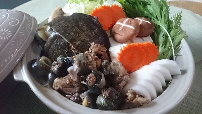 薬膳すっぽん鍋セット 無添加 鍋 冬 コラーゲン エイジングケア スープ 燕の巣 にんじん 金針菜 百合 ナツメ クコの実　H080-032