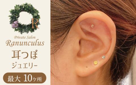 耳つぼ体験 60分 利用券【１名様分】リラクゼーション  健康 マッサージ 癒しプライベートサロン チケット　H178-008