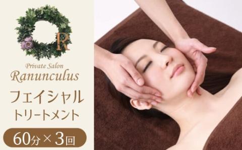 フェイシャルトリートメント６０分　利用券（１名様３回分）エステ フェイシャル リラクゼーション 肌ケア マッサージ 癒し サロン プライベート　H178-006