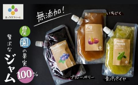 無添加 青パパイヤ・いちじく・ブルーベリーのジャム 3色セット  H164-006