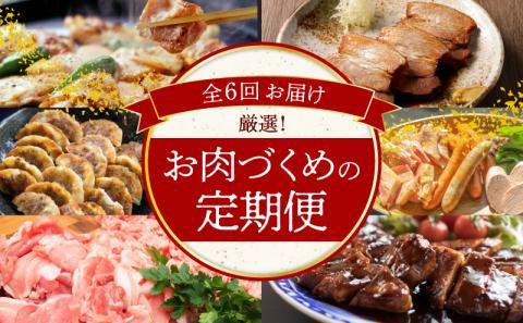【全6回】厳選！お肉づくめの定期便　H028-080