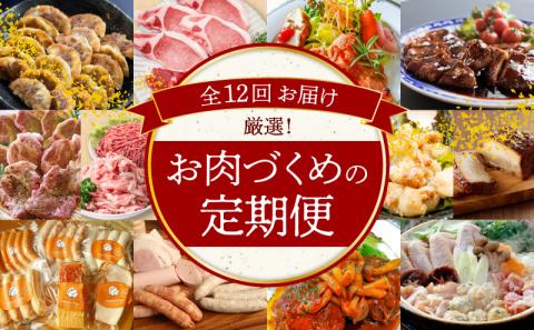 【全12回】厳選！お肉づくめの定期便　H028-081