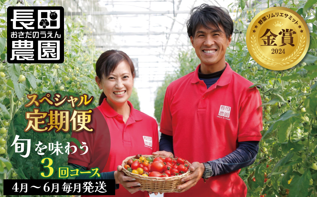 【4月～6月の定期便】トマト好き全員集合 トマト・トマト・トマト3か月お届けパック 野菜ソムリエサミット 金賞 受賞 長田農園 産地直送 トマト とまと 野菜 やさい フルーツ サラダ 濃厚 甘い ご褒美 プレゼント 美容 健康 リピート多数 人気 高評価 数量限定 碧南市　H004-173
